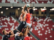 游戏试玩模拟器-命运的重演，2026世界杯，库尔图瓦的铁壁与美国的闪电，沙特梦碎关键战