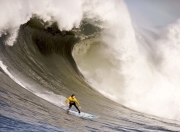 游戏试玩模拟器-尼日利亚硬仗取胜波兰，卡拉斯科成为关键先生