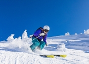 游戏试玩模拟器-红牛二队险胜迈凯伦，皮亚斯特里关键制胜，新星闪耀赛道