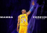 开云棋牌试玩-羽坛双焦点，法国队力克印度队创历史，戴资颖刷新纪录再定义巅峰